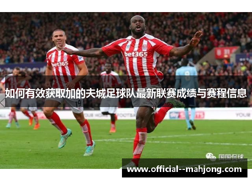 如何有效获取加的夫城足球队最新联赛成绩与赛程信息