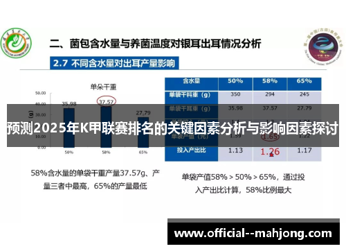 预测2025年K甲联赛排名的关键因素分析与影响因素探讨 预测2025年K甲联赛排名的关键因素分析与影响因素探讨