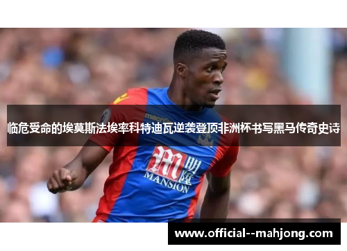 临危受命的埃莫斯法埃率科特迪瓦逆袭登顶非洲杯书写黑马传奇史诗 临危受命的埃莫斯法埃率科特迪瓦逆袭登顶非洲杯书写黑马传奇史诗